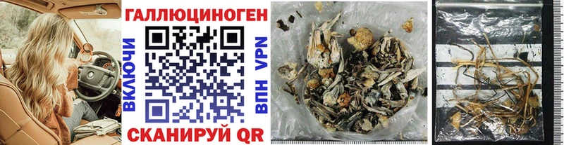 Псилоцибиновые грибы MAGIC MUSHROOMS  Истра 